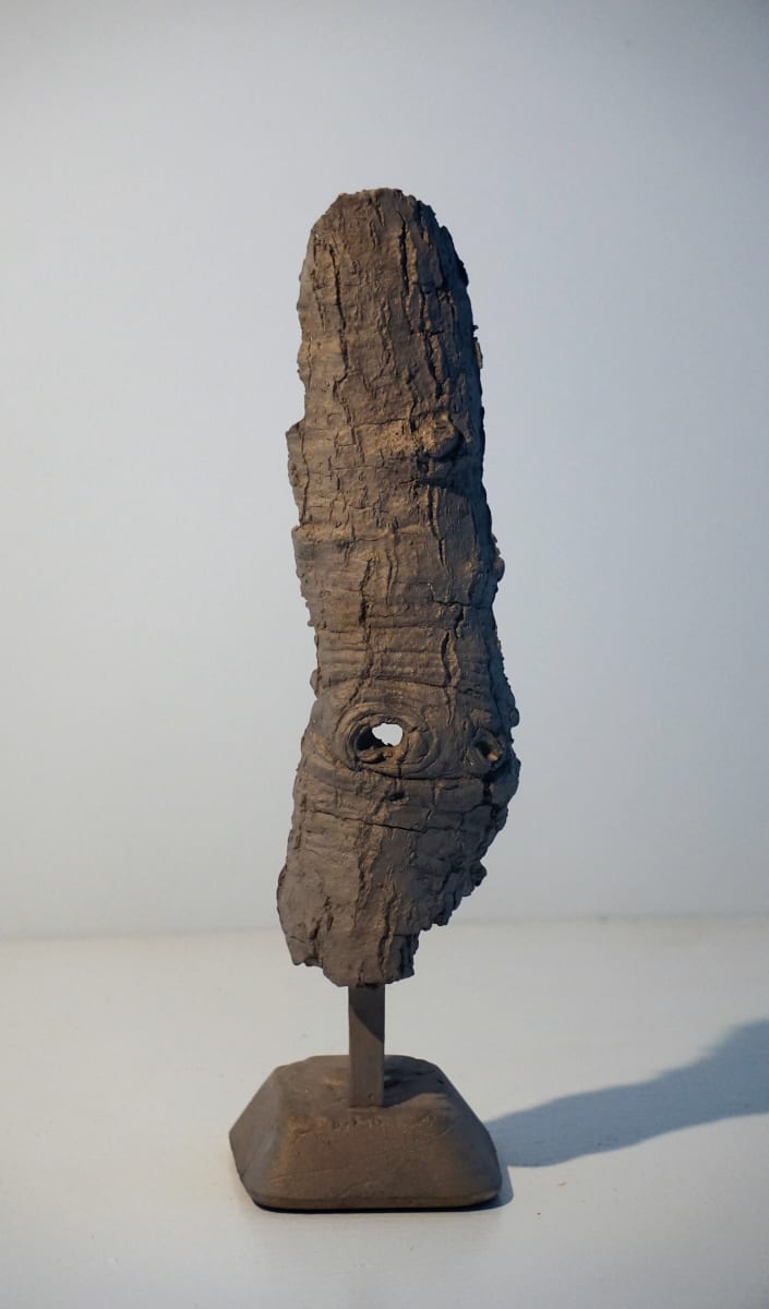 Bark #15 by Eric Saint Georges 