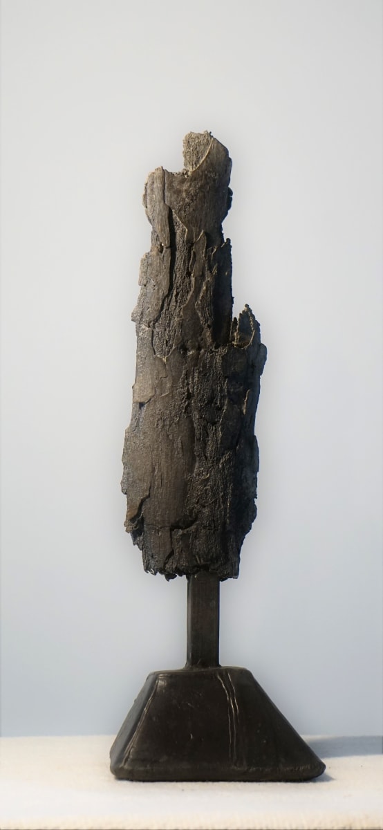 Bark #4 by Eric Saint Georges 
