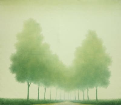 Trees by Hồng Việt Dũng 