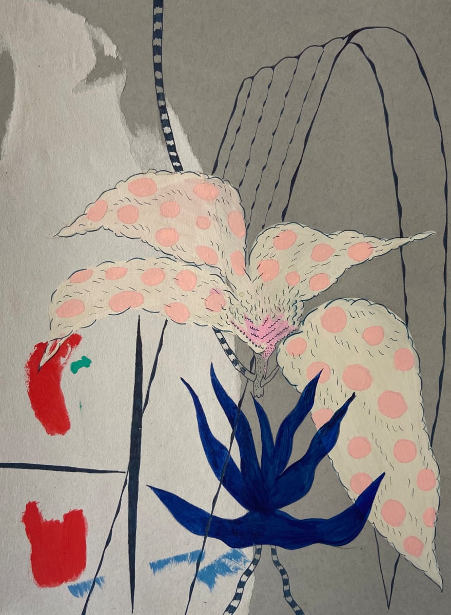 Polka Dot plant by GEMMA BAILEY 