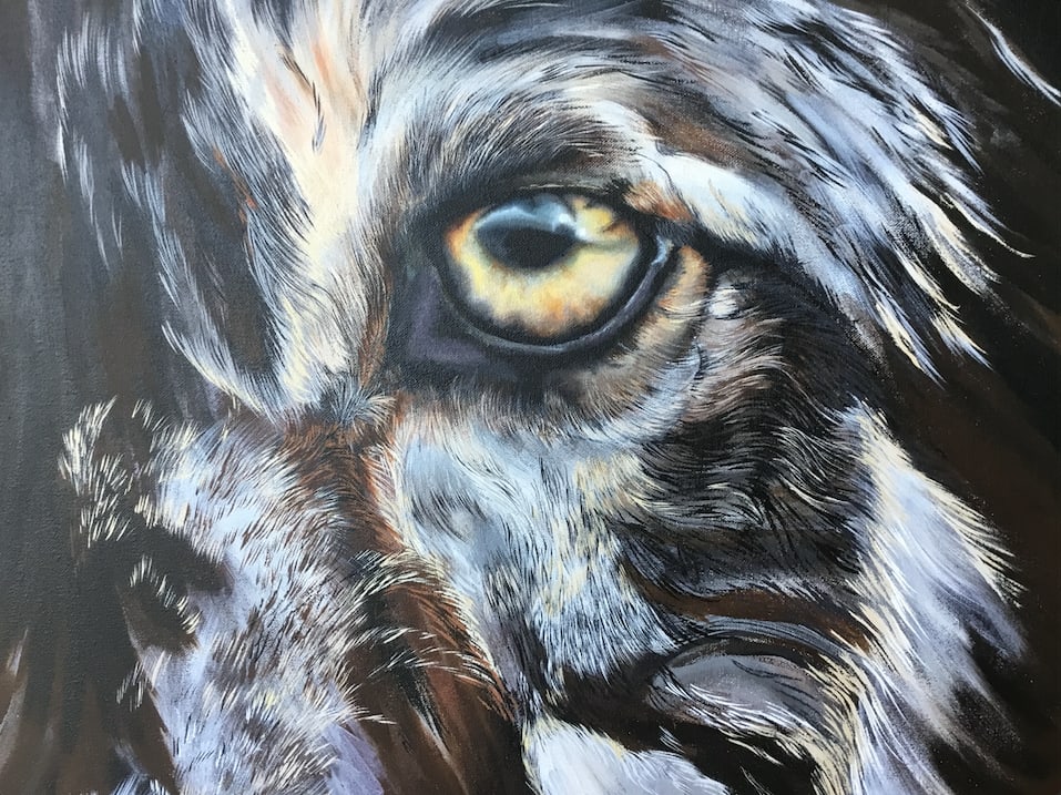 Mirror for Humanity by Joanne Beels 