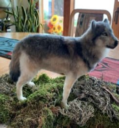 Felted Takaya by Diane Gray 