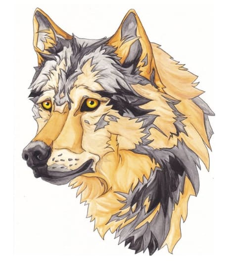 Takaya by Kendall Lipsett 