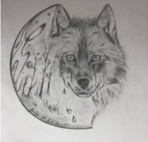 Takaya the Lone Wolf by Yuliya Aurelius Whitewolf 