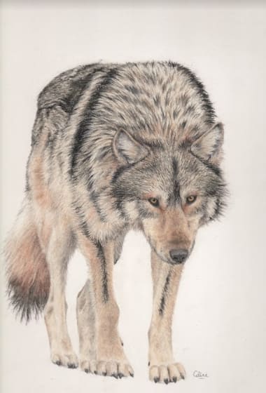Resilience by Coline Hoxaire 
