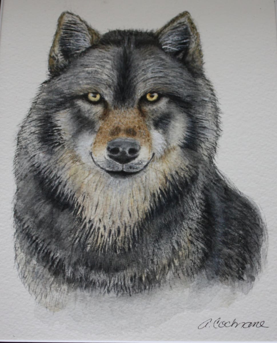 Solo by Ann Cochrane, Image 1.