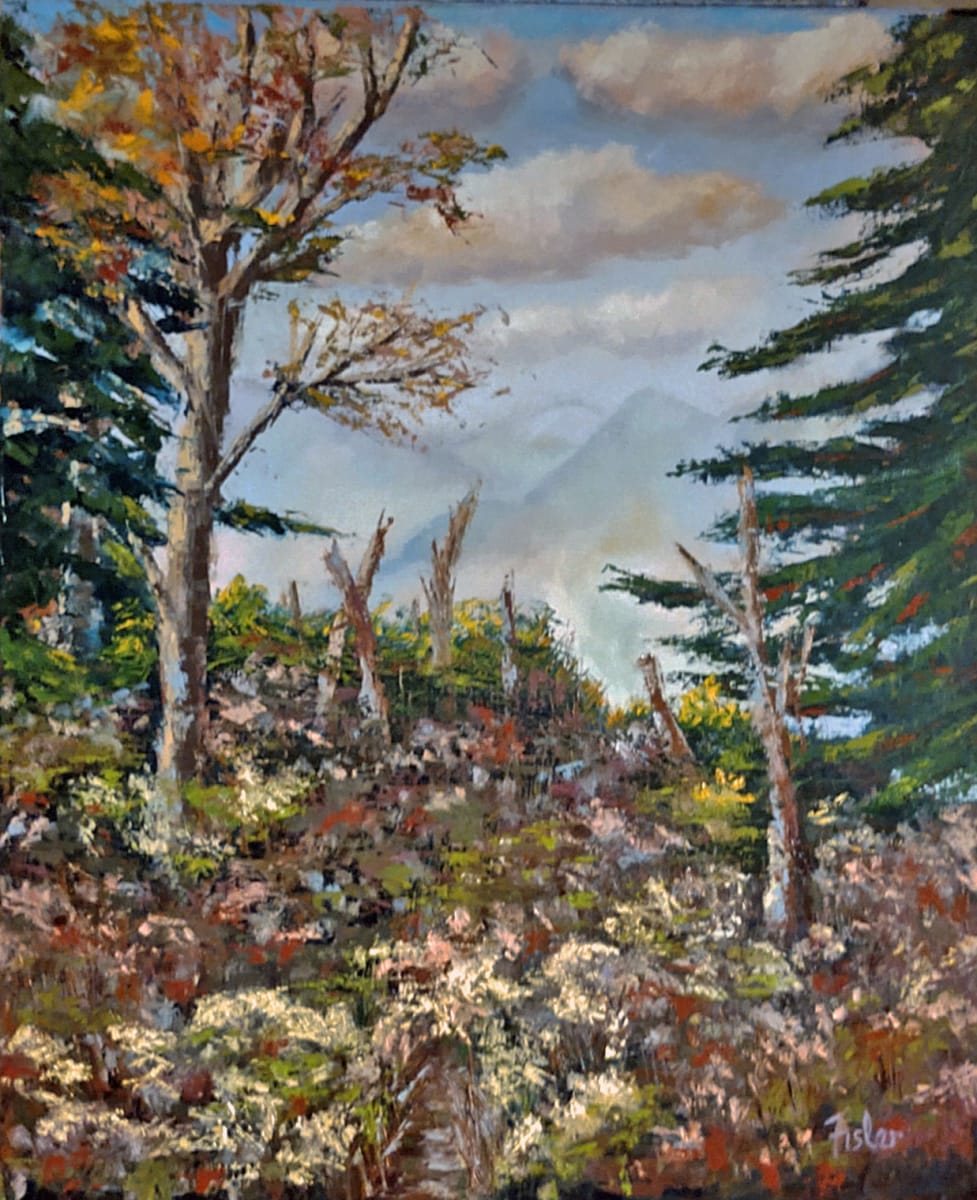 Hike to Hawksbill by Linda Riesenberg Fisler  Image: Since moving to the Blue Ridge, Linda's study of the mountains' atmosphere has intrigued her. On a hike to Hawksbill, this scene presented itself. Capturing the mountain ridges in the distance and the beauty of the foreground inspired this painting.  