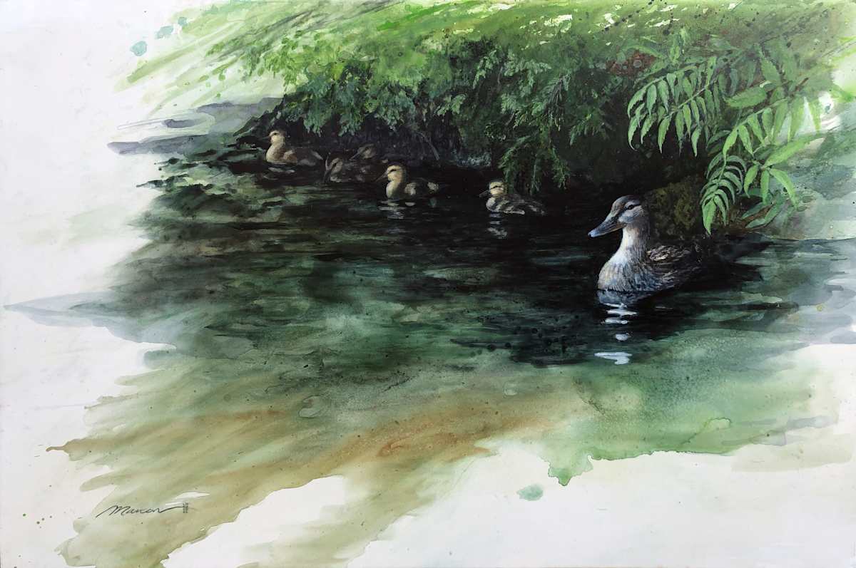 Camouflage - Famille de Col vert 1 by Manon Bédard 