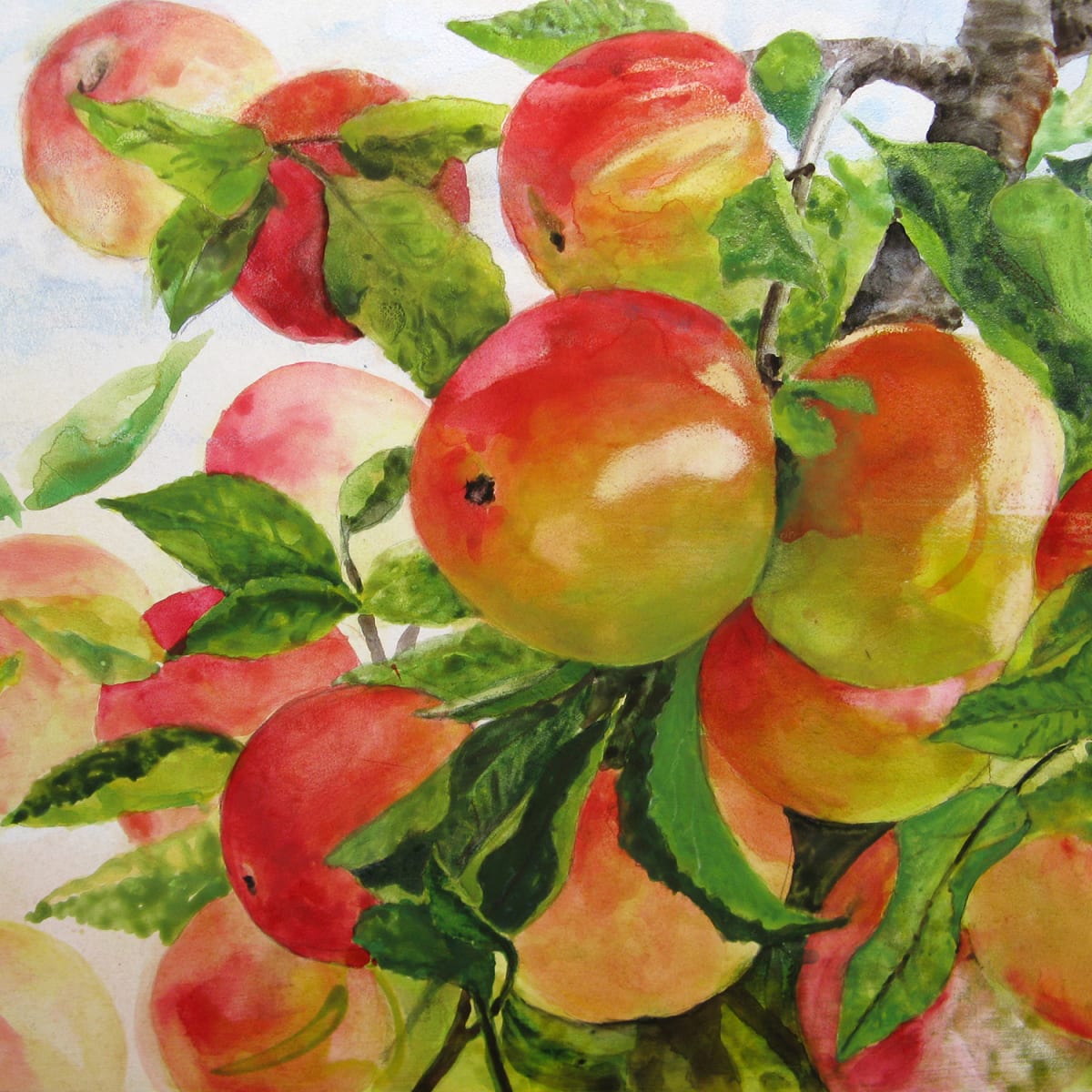 Études - Pommes by Manon Bédard 