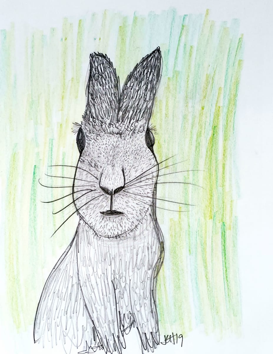 Rabbit Sketch 2019, Image 1.