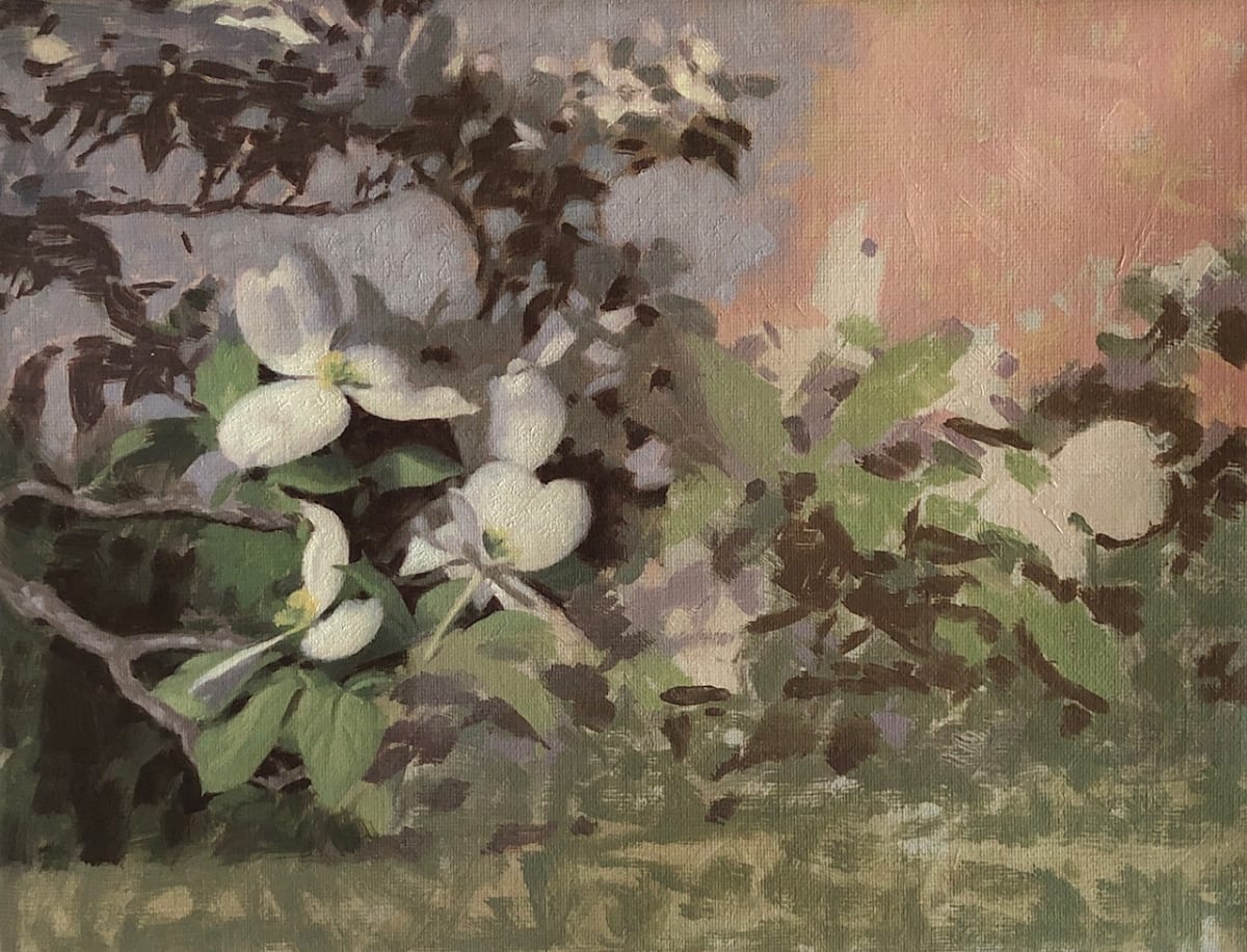 White Dogwood I by Peter Schaumann, Image 3.