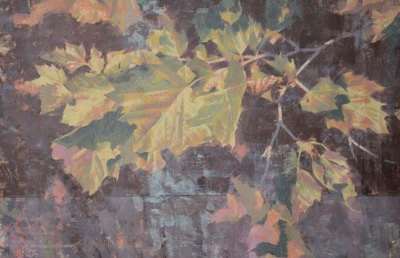 Sycamore by Peter Schaumann, Image 2.