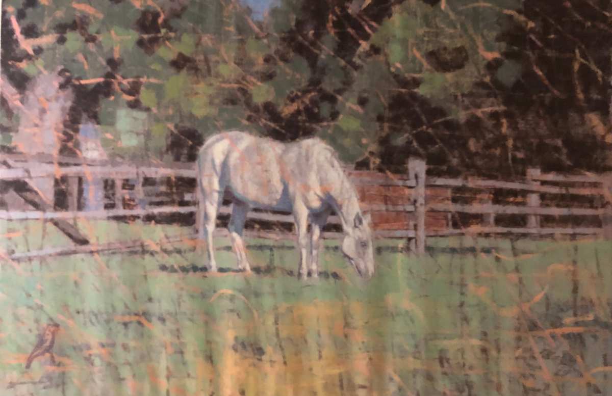 White horse by Peter Schaumann, Image 8.
