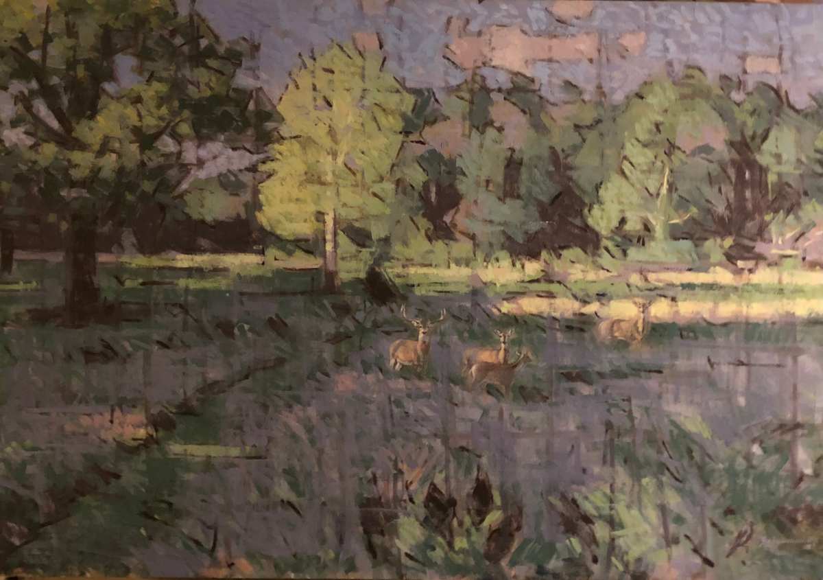 Evening Meadow by Peter Schaumann, Image 9.