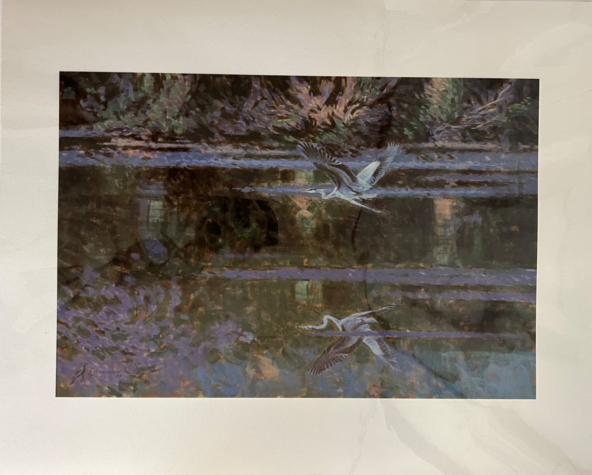 Giclee Print - Great Blue Heron by Peter Schaumann, Image 1.