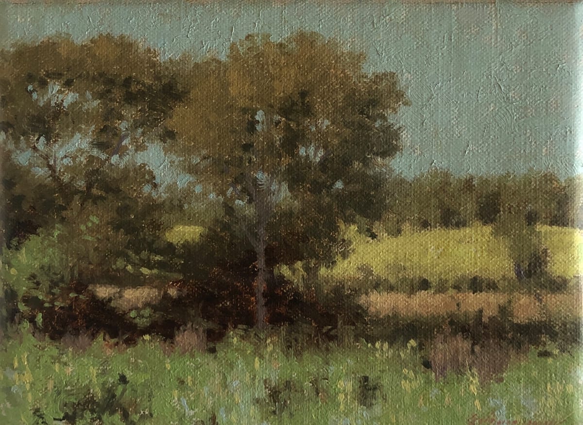 Landscape, Kirkwood by Peter Schaumann, Image 14.