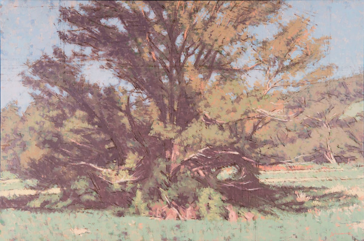 Summer Tree (framed) by Peter Schaumann, Image 3.