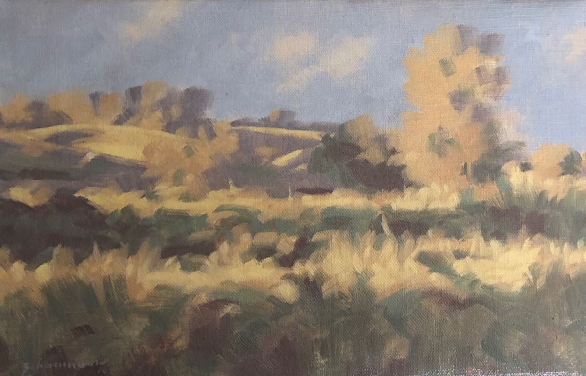 Study Late Light Okehocking I by Peter Schaumann, Image 11.