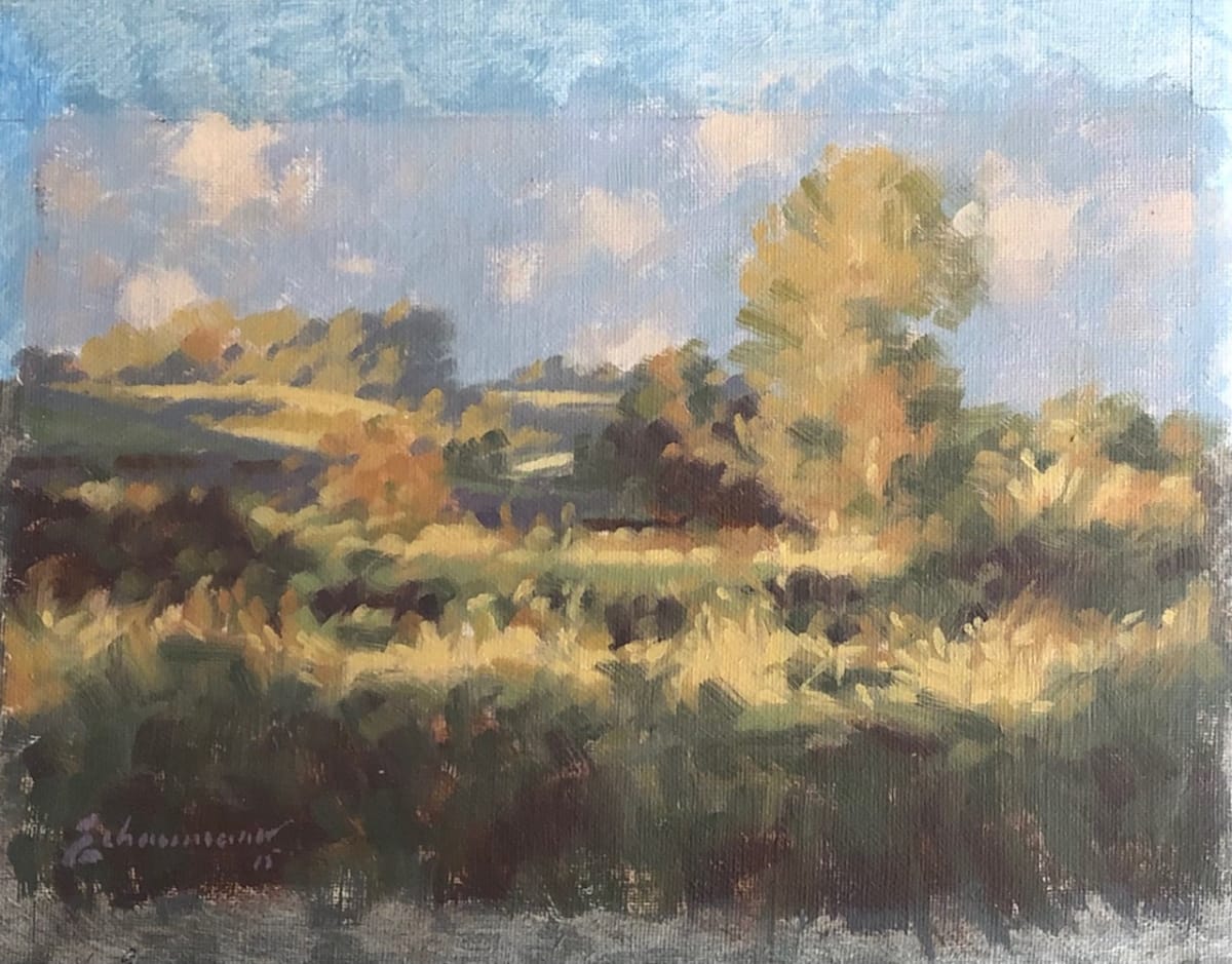 Study Late Light Okehocking II by Peter Schaumann, Image 13.