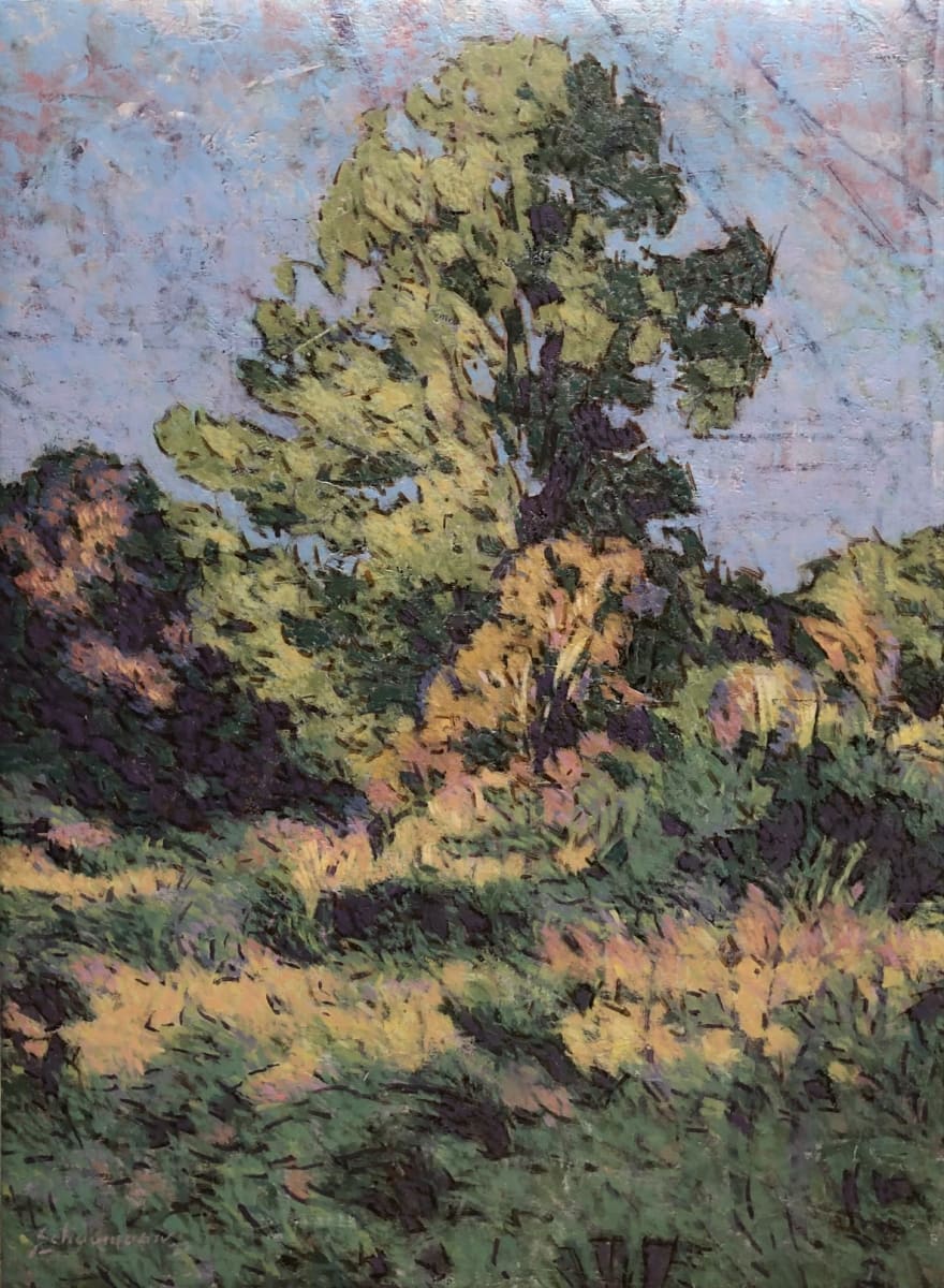 Trees in Light by Peter Schaumann, Image 16.