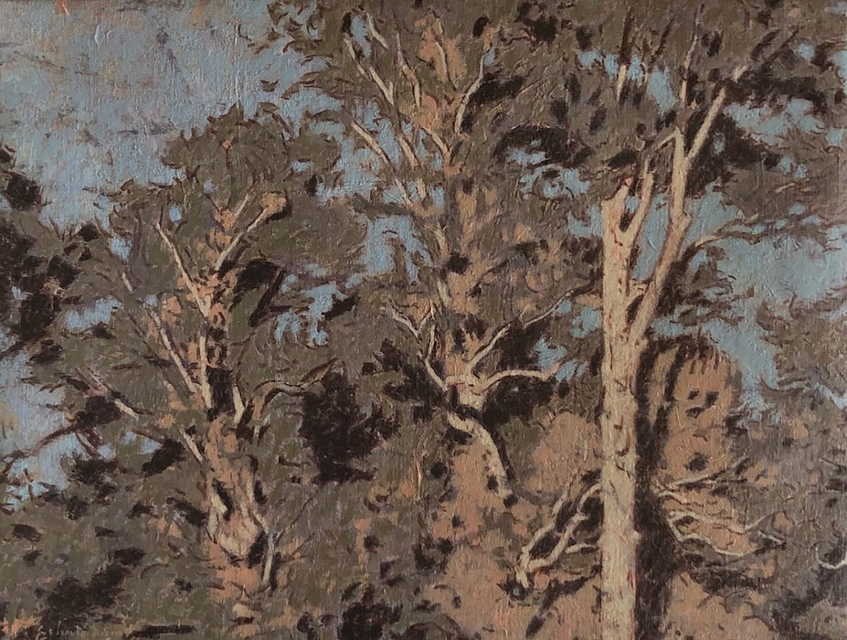 Treetops by Peter Schaumann, Image 19.