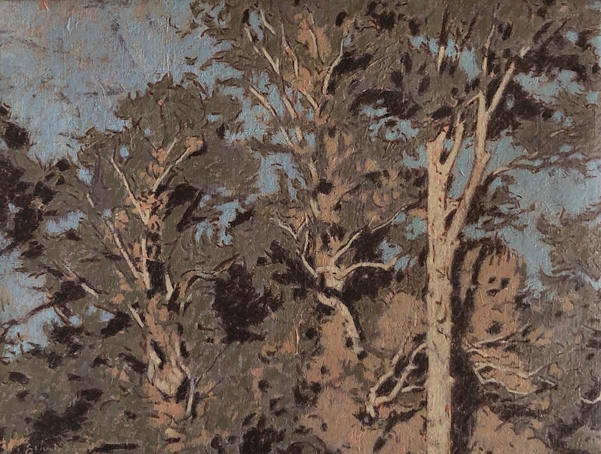 Treetops by Peter Schaumann, Image 19.