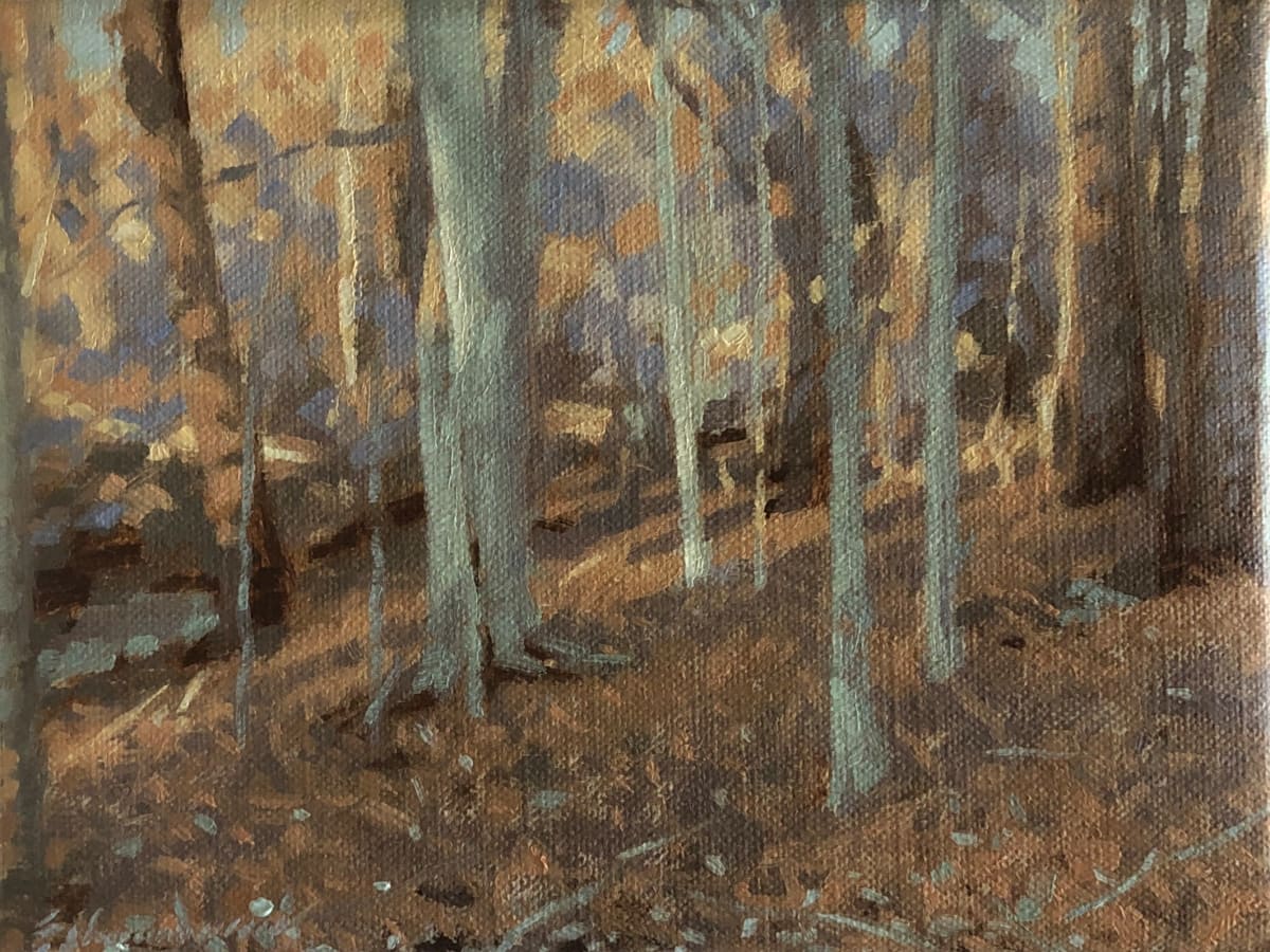 Winter Wood by Peter Schaumann, Image 20.