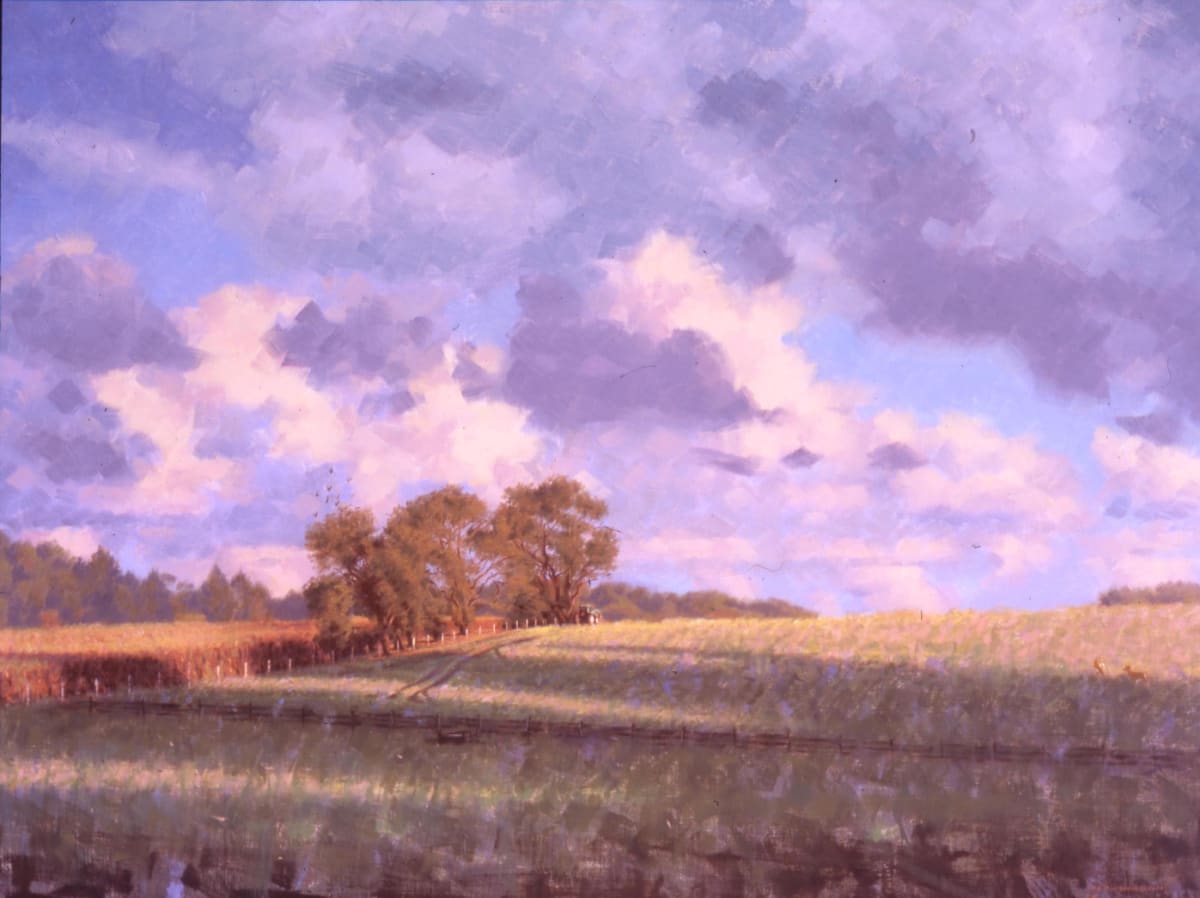 Late Light by Peter Schaumann, Image 5.