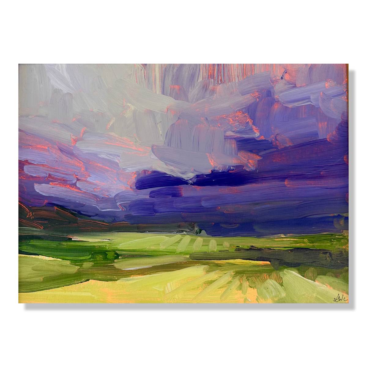 Purple skies by Samantha Williams-Chapelsky 
