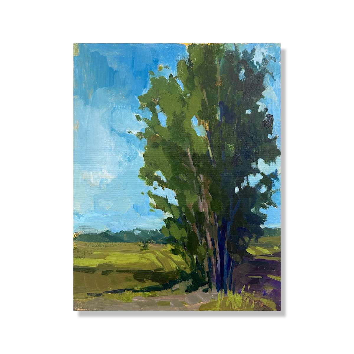 Tree Study I by Samantha Williams-Chapelsky 