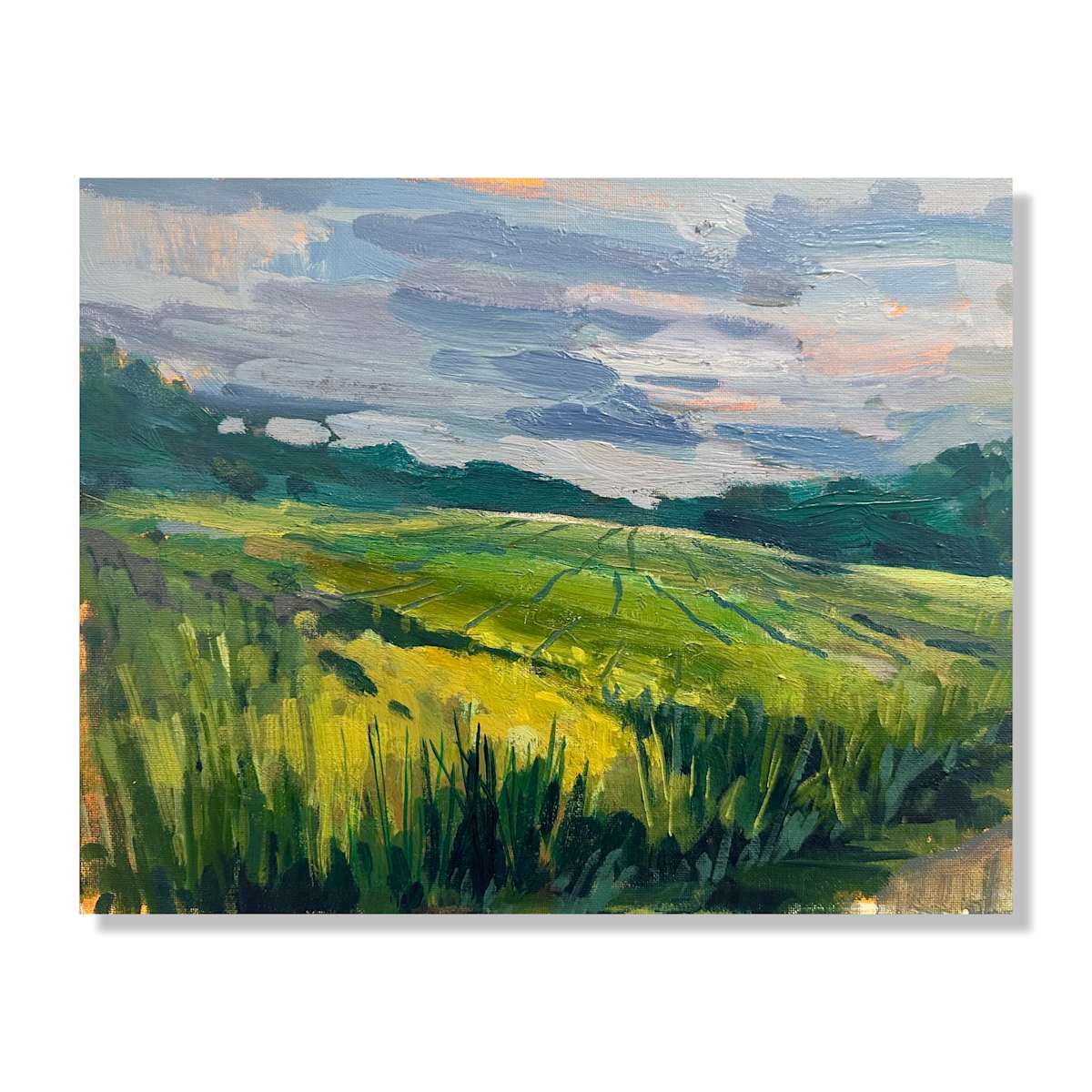 Summer Grasses by Samantha Williams-Chapelsky 