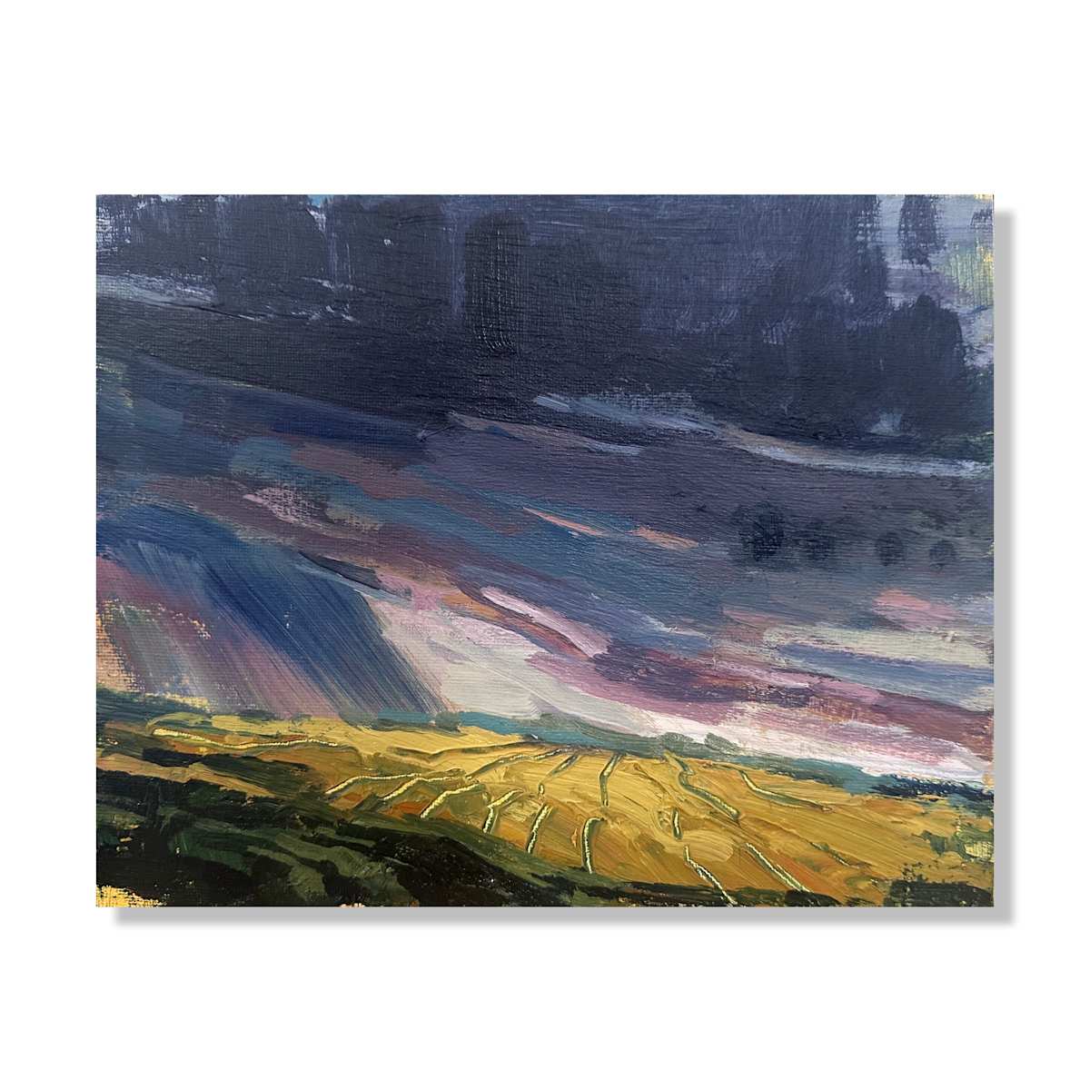Rainfall by Samantha Williams-Chapelsky 