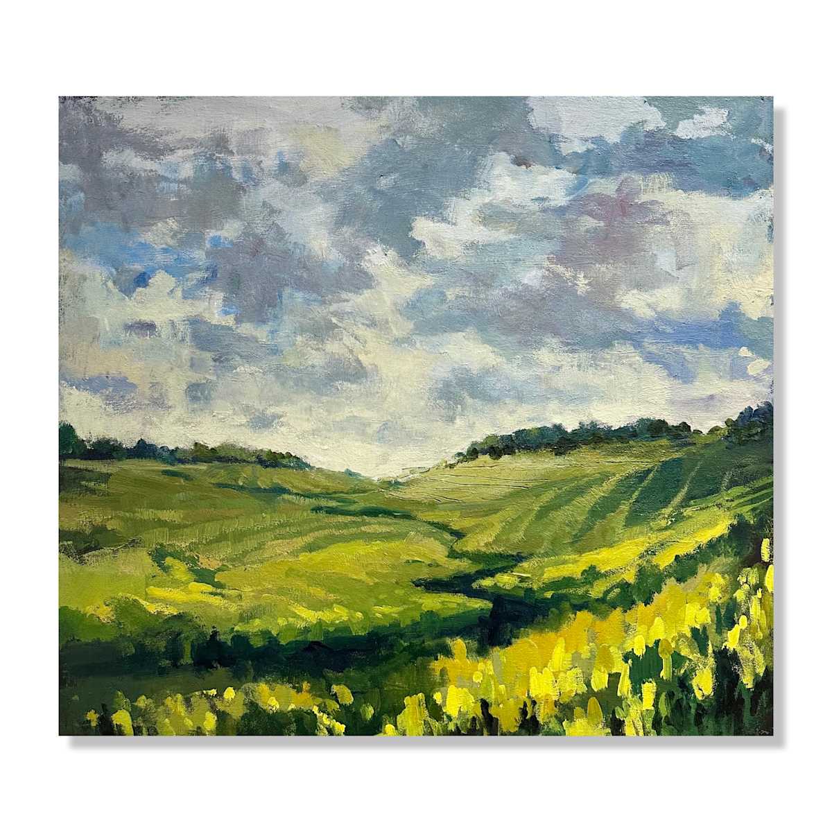 Canola in July by Samantha Williams-Chapelsky 