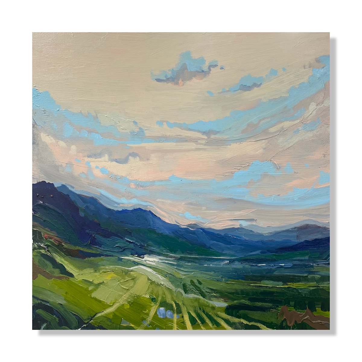 The valley in between by Samantha Williams-Chapelsky 