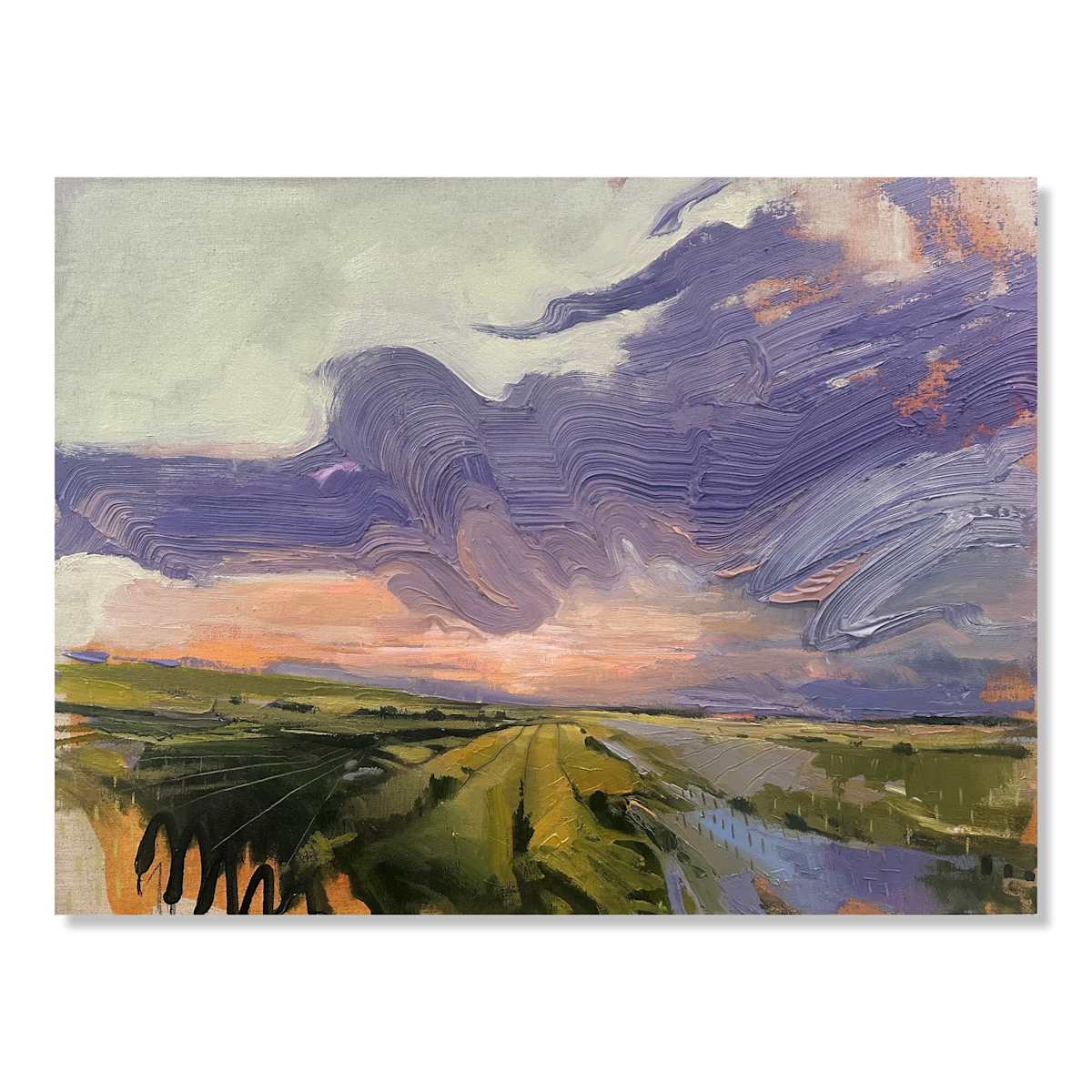 Paths in the sky by Samantha Williams-Chapelsky, Image 1.