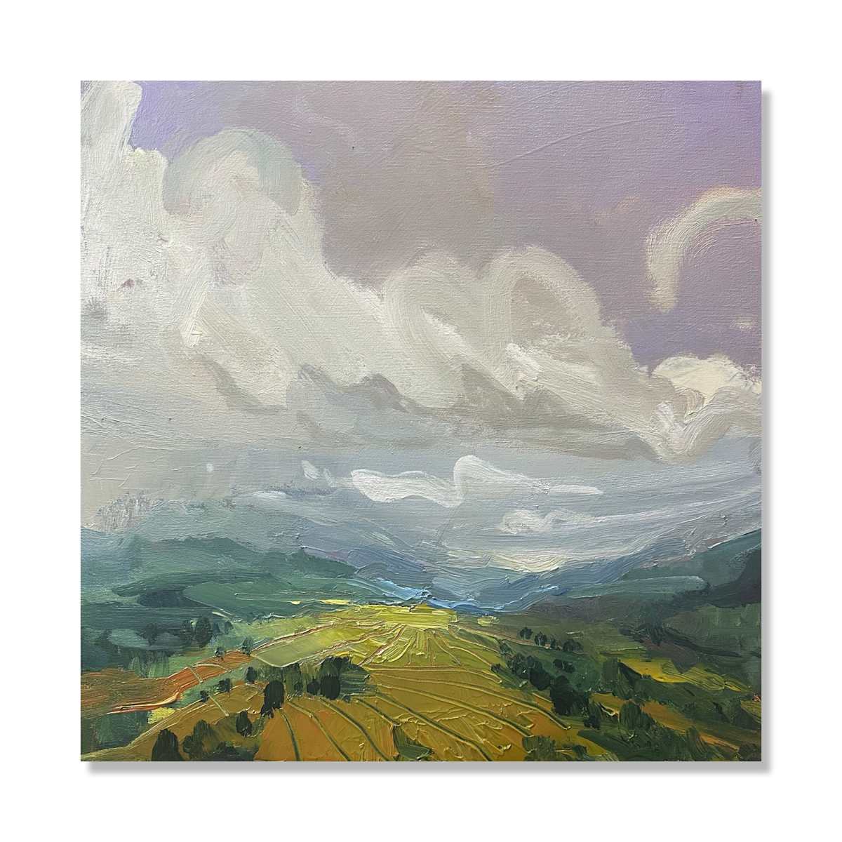 The misty hillside between by Samantha Williams-Chapelsky 
