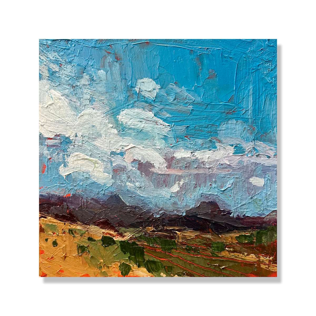 Southern views by Samantha Williams-Chapelsky 