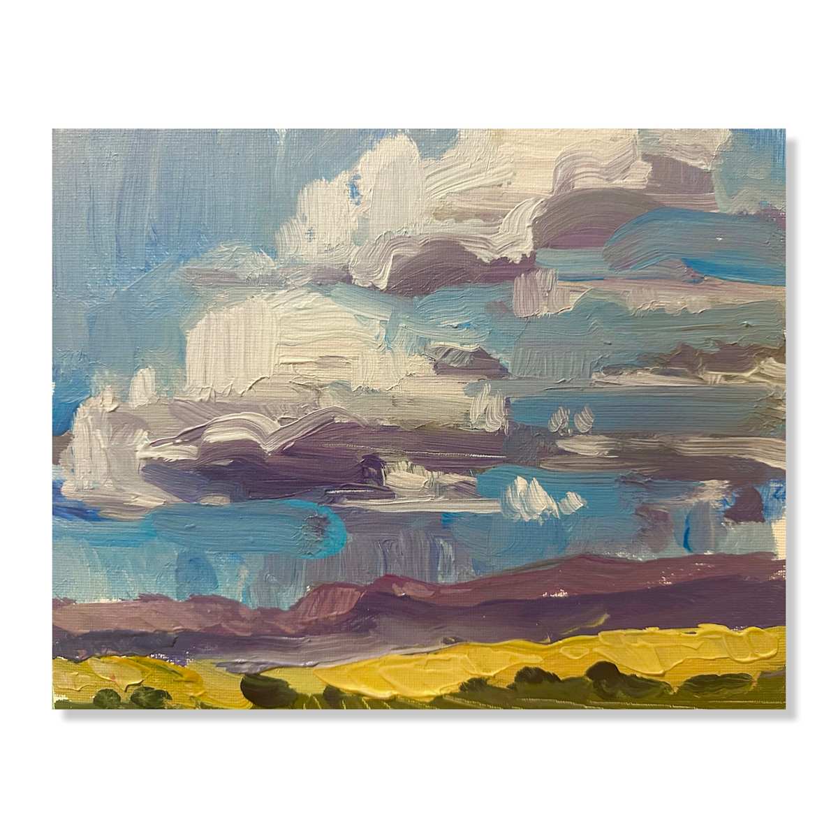 Cloudy view by Samantha Williams-Chapelsky 