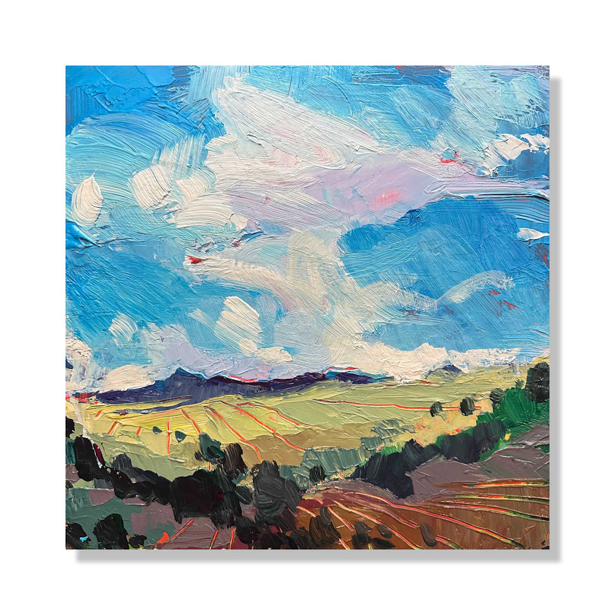 Southern Skies by Samantha Williams-Chapelsky 