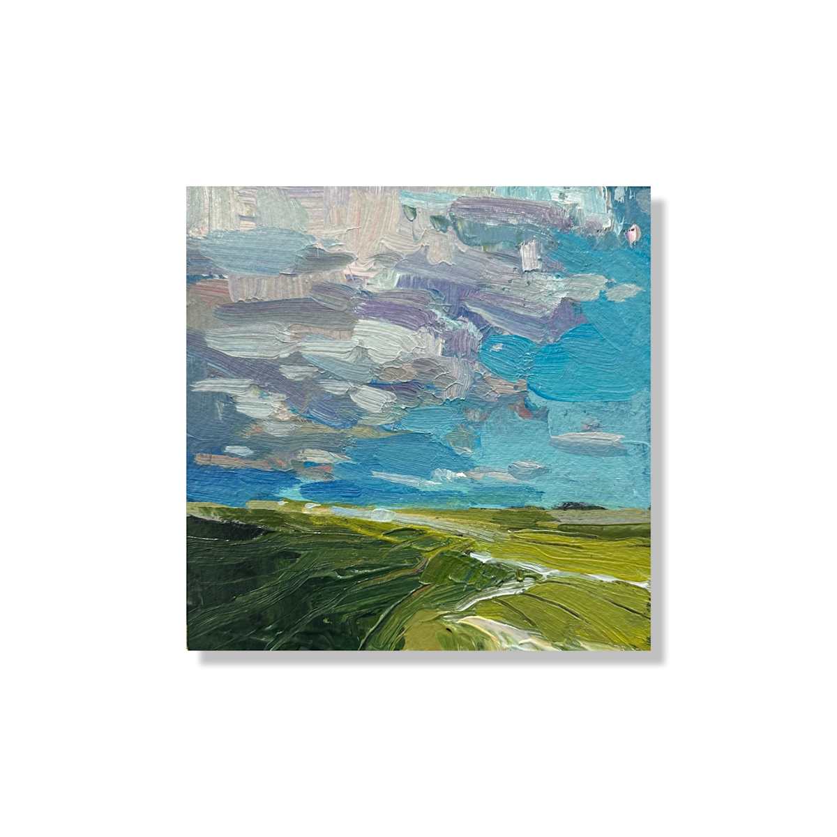 Mini sky capture by Samantha Williams-Chapelsky 