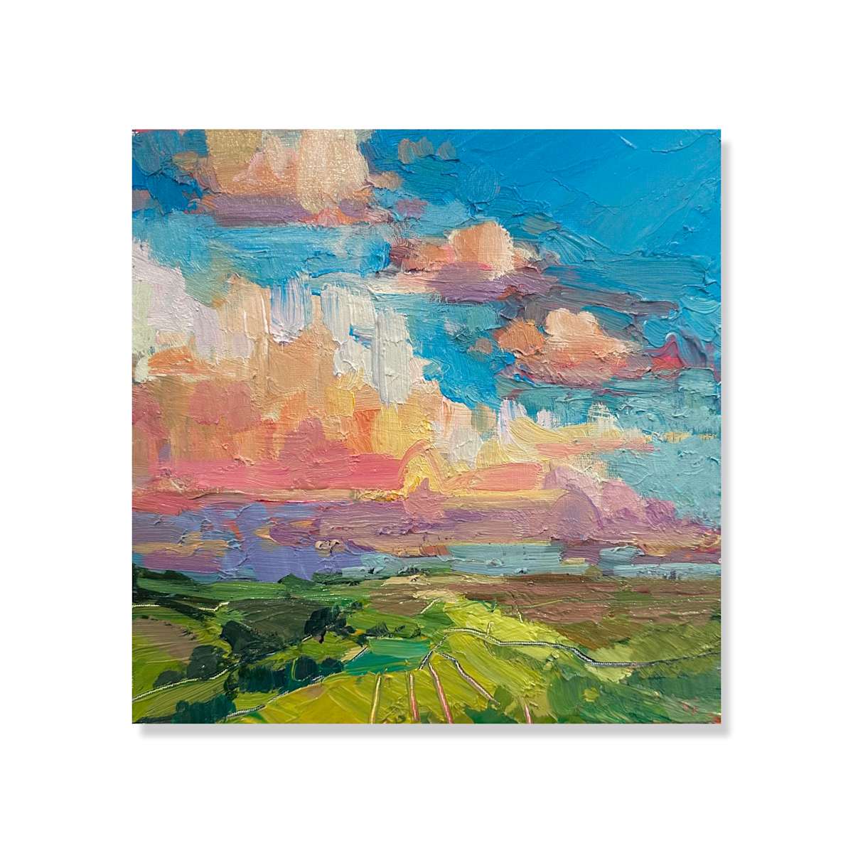 Colourful Sky by Samantha Williams-Chapelsky 