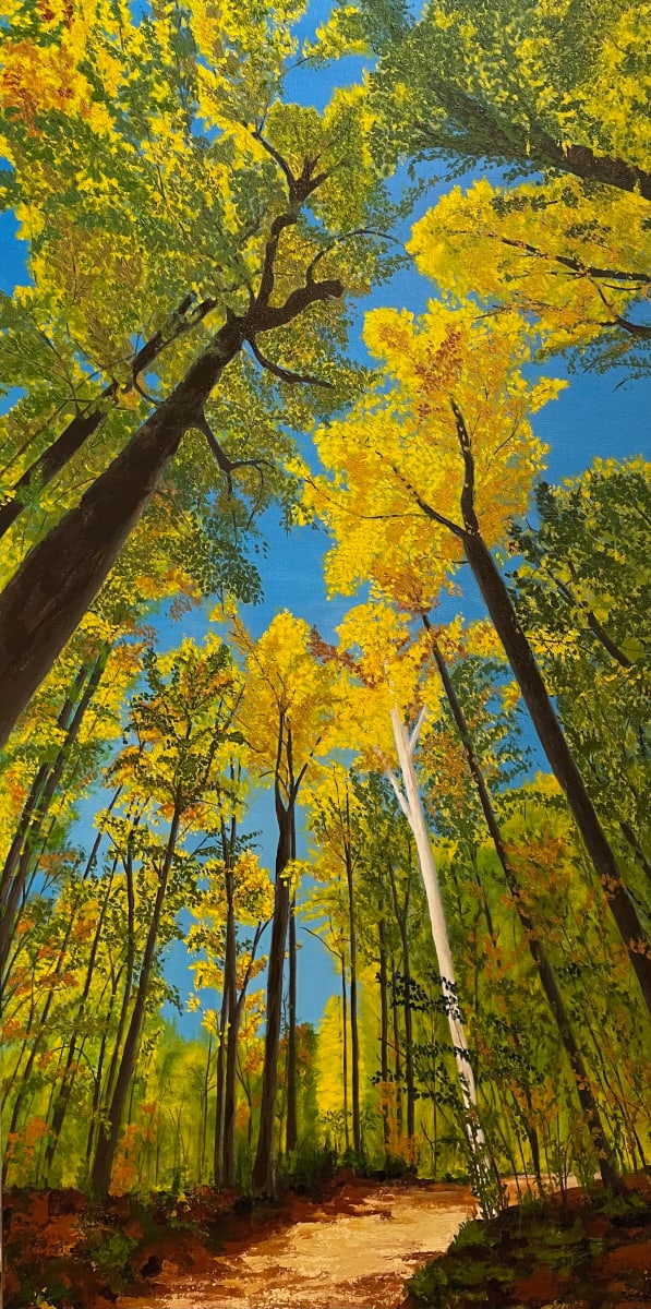 Look Up! by Carol Wright 