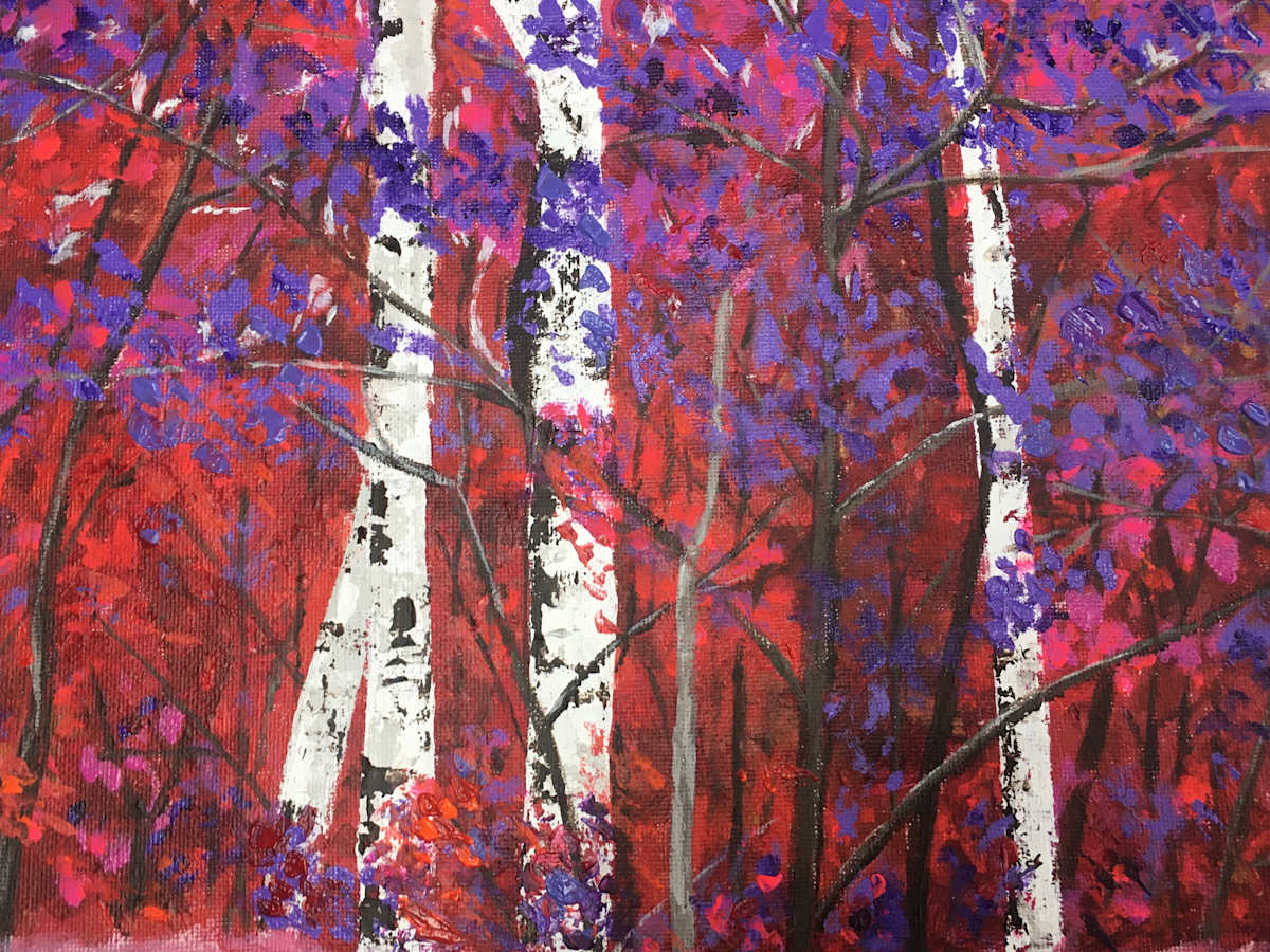 Donna's Birches, Image 1.