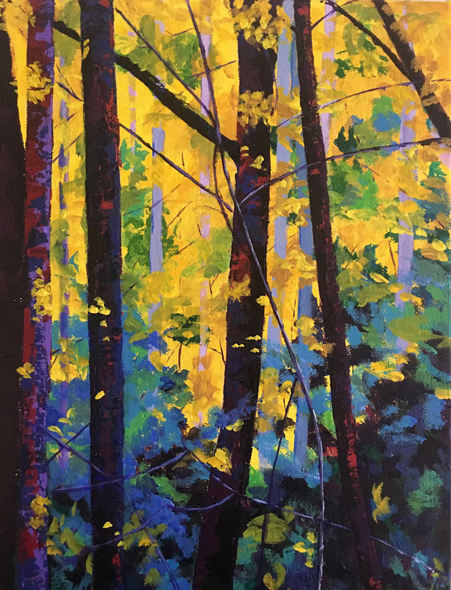 Good Morning Forest!, Image 1.