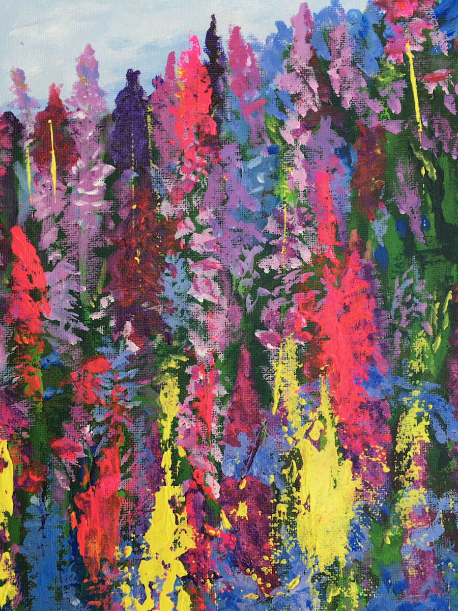 Lovely Lupins, Image 1.