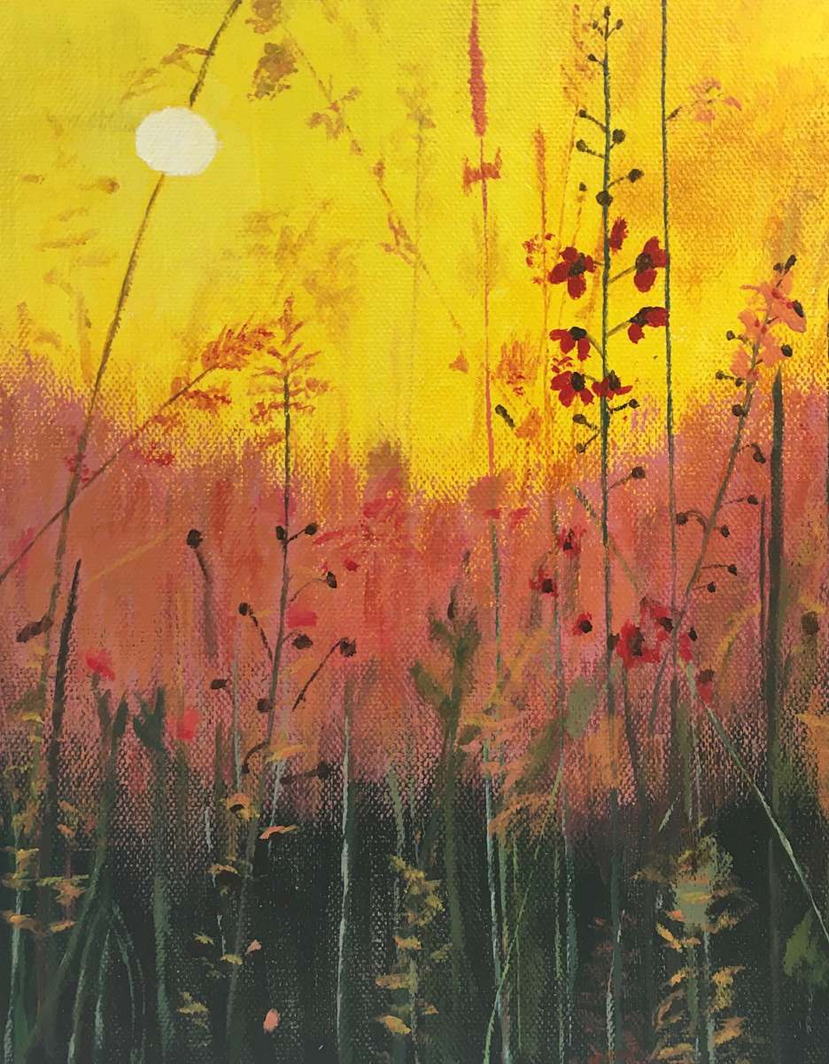 Golden Moment, Image 1.