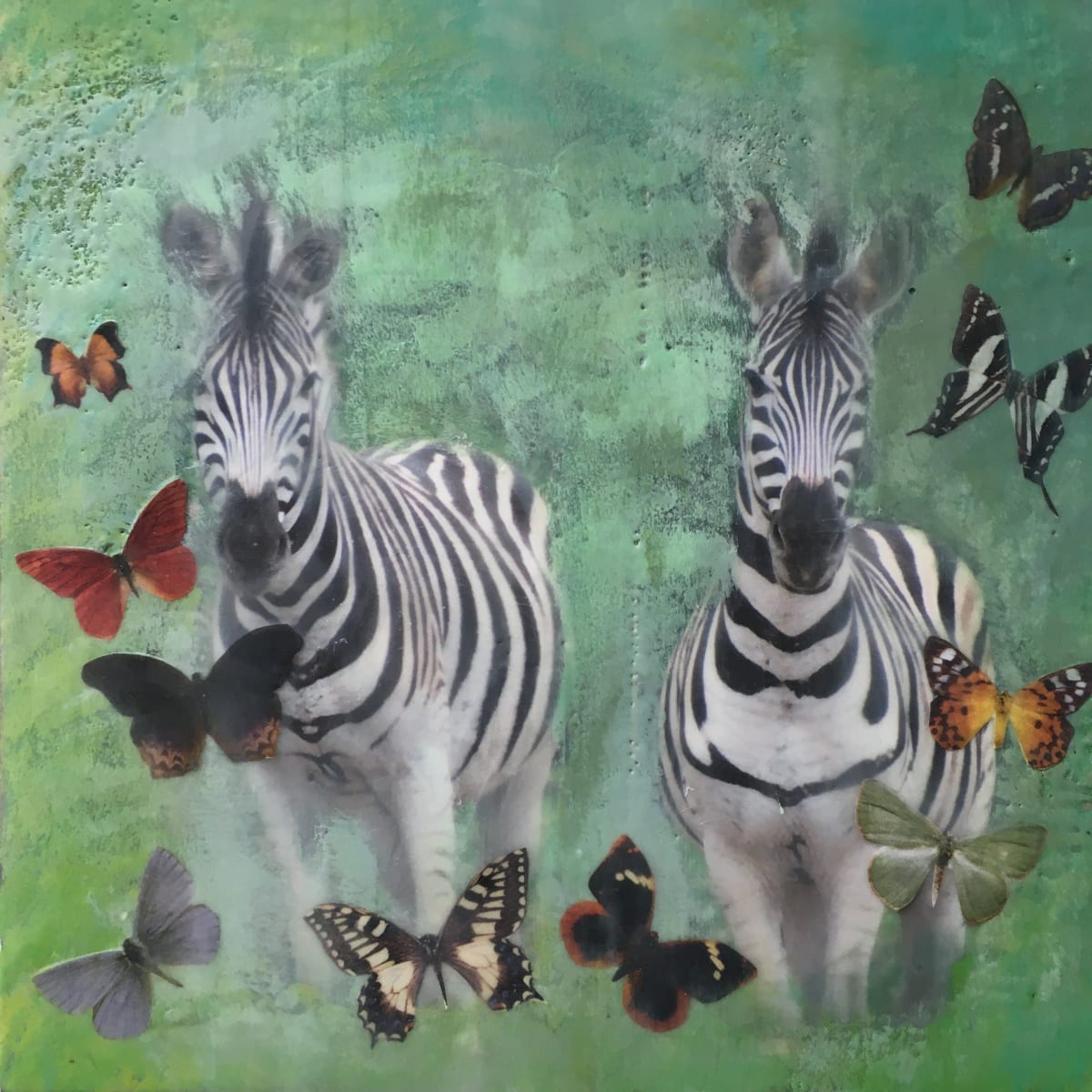 Double Vision, Image 1.