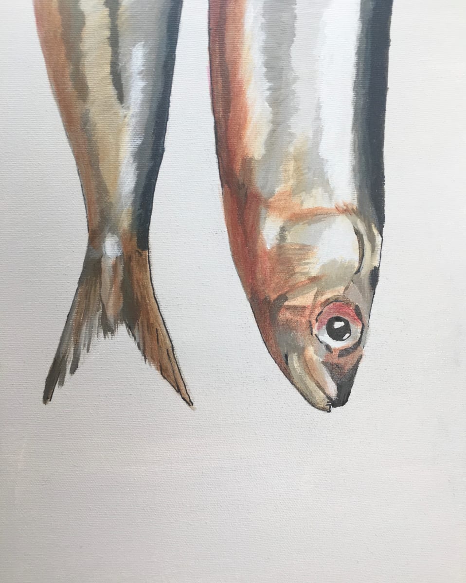 Will's Fish    (not for sale), Image 1.