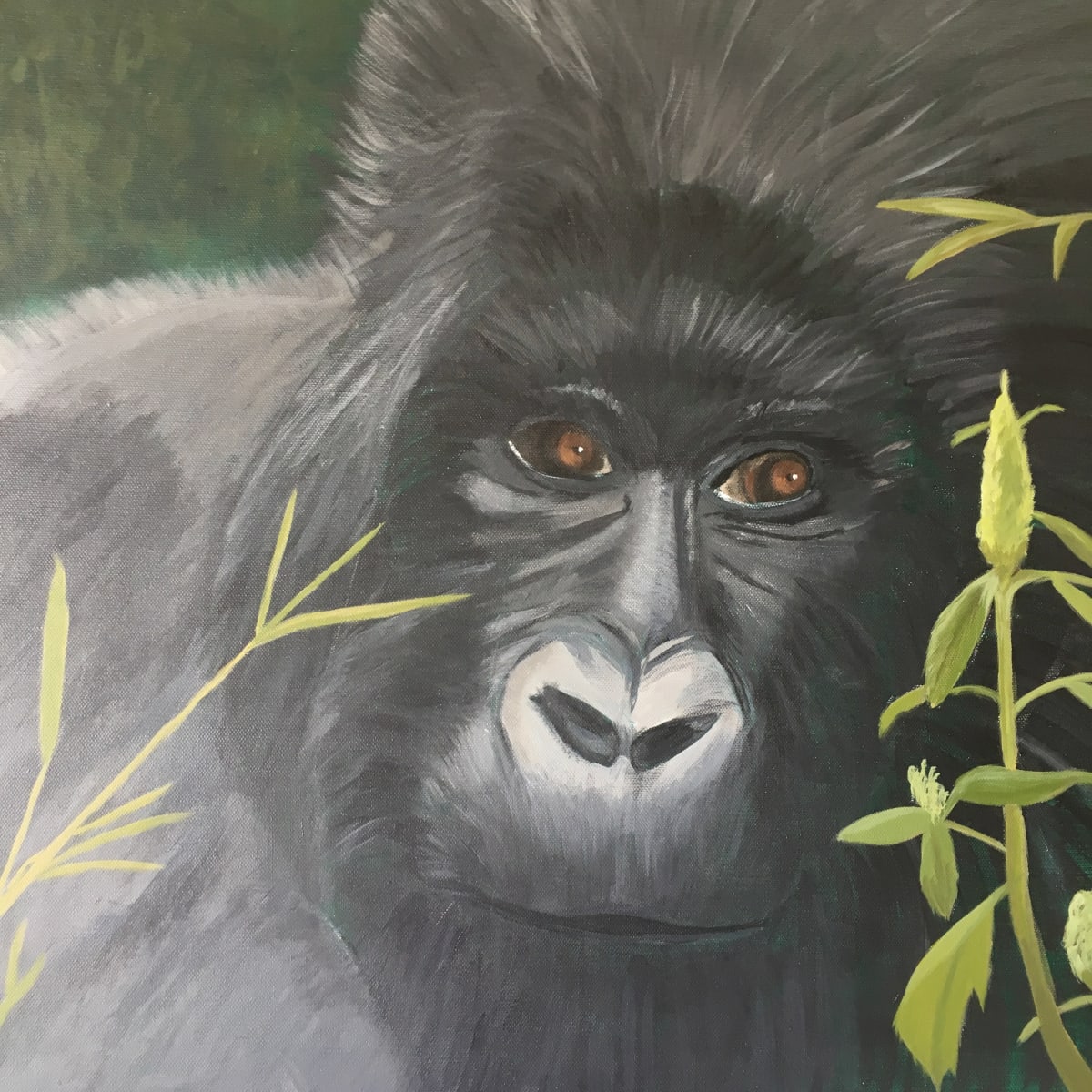 The Gaze of a Gorilla by Carol Wright 