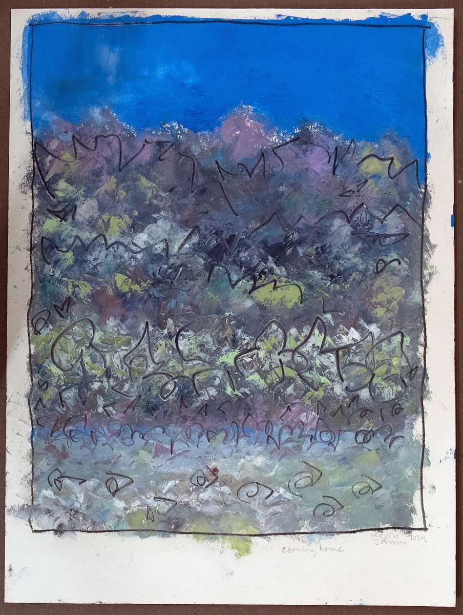 Coming home by Kevin Johnson 